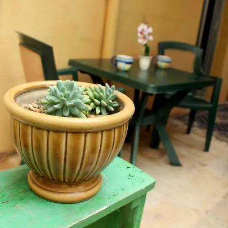 House & Garden Near Sea